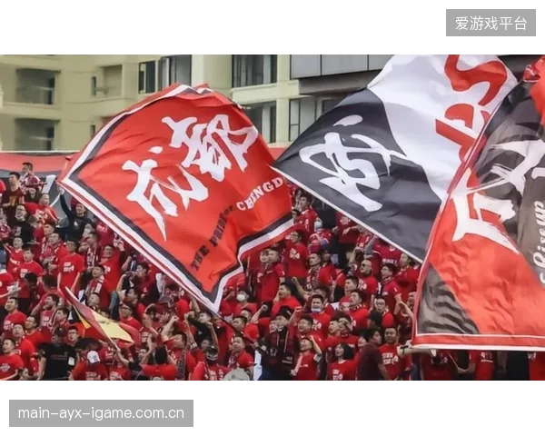 别队球迷的“嘲讽”背后：为什么我们的球迷如此热情？