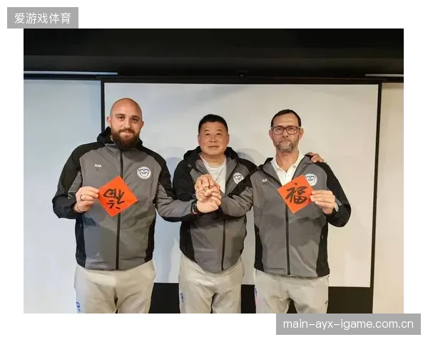 肇宸惟效力石家庄功夫——传承与创新的精髓之旅